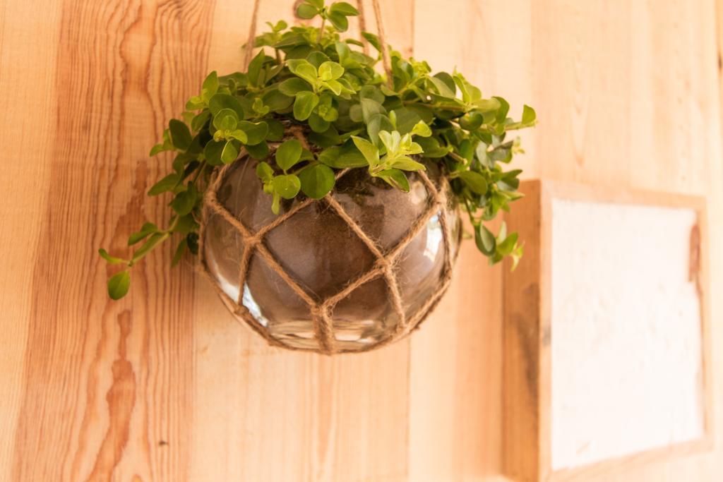 Utopia Aljezur Ngoại thất bức ảnh